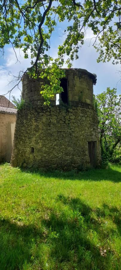 Moulin De Bigorre Villa Saint-Genes-de-Castillon Luaran gambar
